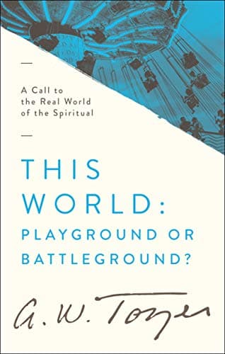 Cover of This World: Playground or Battleground?